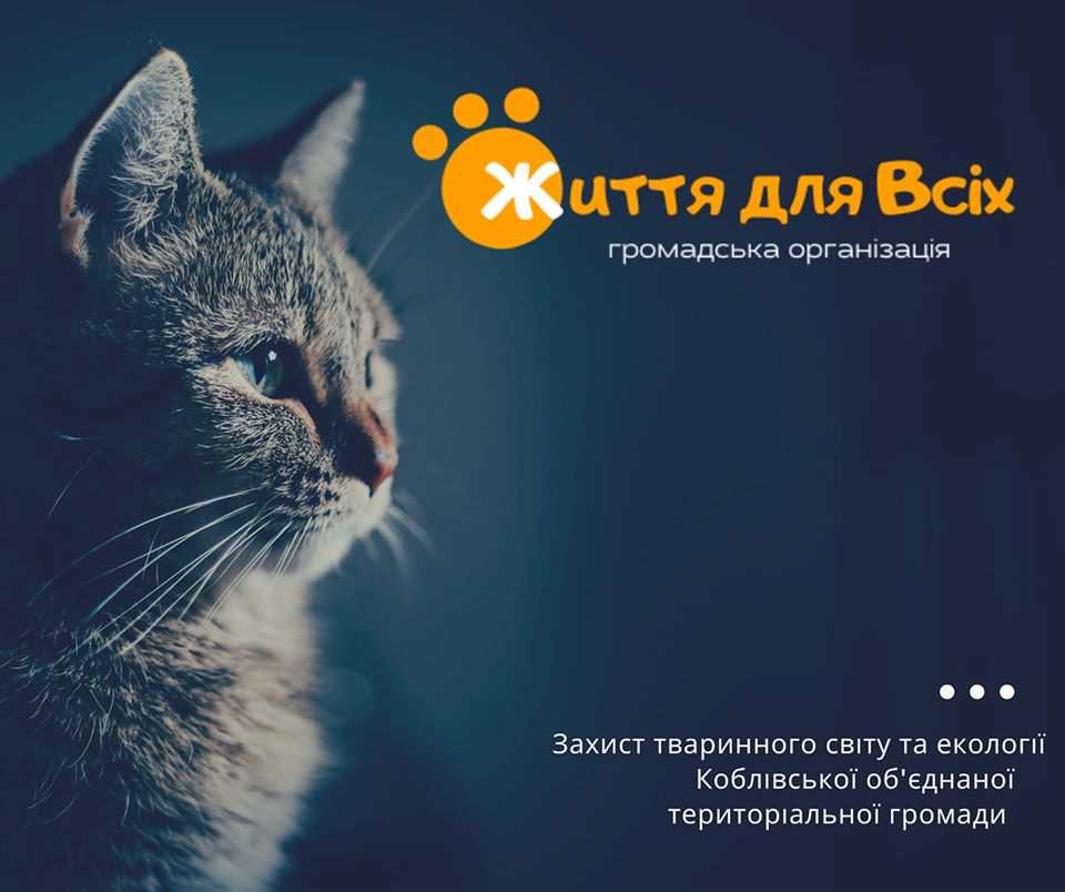 Общественная организация Коблево