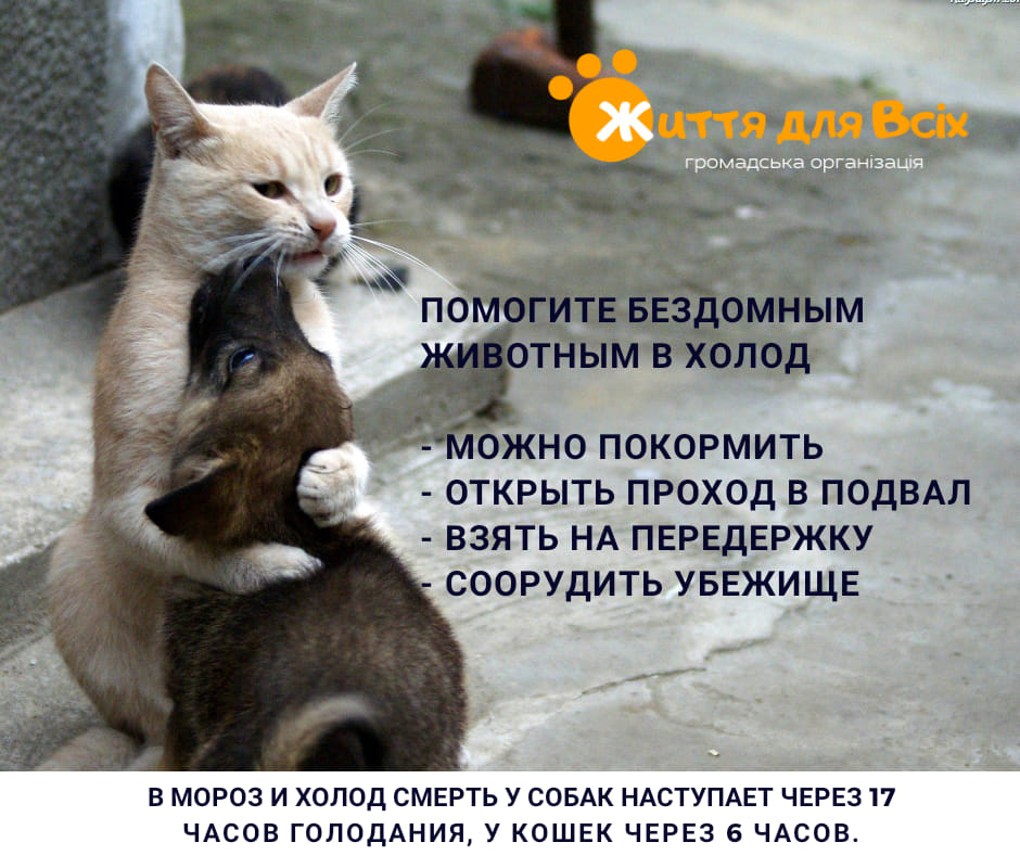 помощь животным